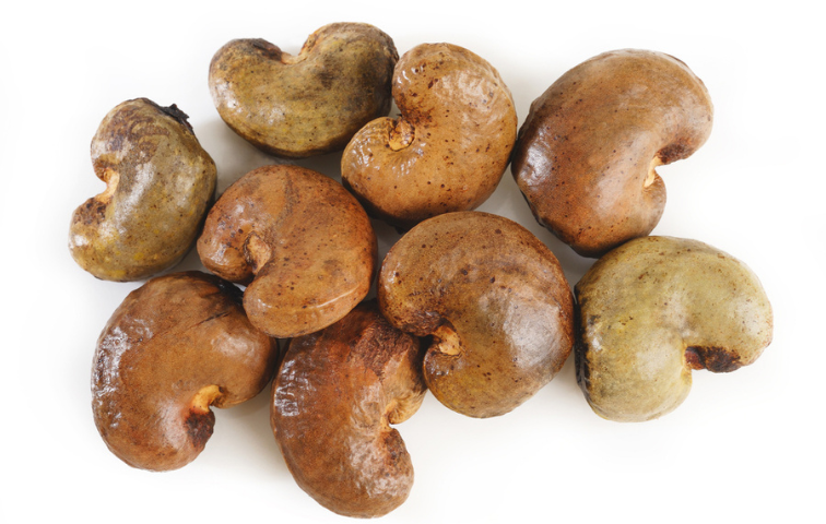 Raw Cashew Nut
